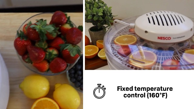 Amazon.com: NESCO FD-37 Food Dehydrator, For Snacks, Fruit, Beef
