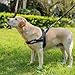 Eeyfarog No Pull Hundegeschirr für kleine mittelgroße Hunde, reflektierend ausbruchsicher verstellbar ohne Zug, Hundegeschirr (Rosa, S)
