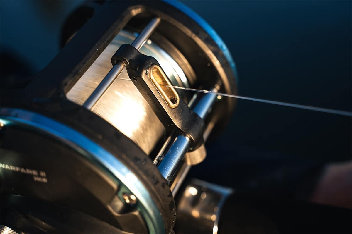 Amazon.com : Penn Warfare II Level Wind Conventional Fishing Reel, 15,  Graphite Body & Sideplates, Brass Main Gear, HT-100 Drag System,  Auto-Engaging Gears : Sports & Outdoors