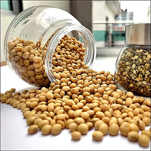 Image of CROCO JAR Oval Shape Glass Spice Jars with Rustproof Airtight Steel Lid | Reusable Kitchen Storage Containers for Home, Office & Pantry | 300ml Set of 6 Premium Glass Jars for Herbs & Condiments