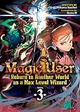 Magic User: Reborn in Another World as a Max Level Wizard (Light Novel) Vol. 3 (Magic User: Reborn in Another World as a Max Level Wizard (Light Novel), 3)