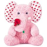 Dimensions (longueur x largeur x hauteur) : env. 32x32x23cm