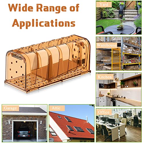 Qualirey Rat Trap Humane Mouse Trap Catch And Release Mouse Traps Indoor For Home No Kill Mole Trap Live Rodent Trap Pest Control Traps Mice Trap For Indoor Outdoor House Home Use (Brown, 4 Pcs) #TOP5