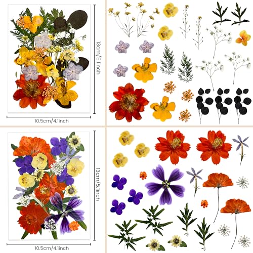 100 flores secas prensadas para manualidades miniatura 4