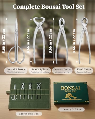 Set de 4 Piezas de Herramientas Bonsai Acero Inoxidable miniatura 3