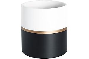 Ceramic Black and White Cylinder Planters, Upscale Indoor Decor