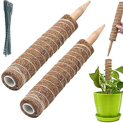 BECHOICEN Moss Pole, 2Pcs Coir Totem Pole Plant Support Totem Pole Moss Pole for House Plants Moss Pole for Cheese Plant with 20 Pieces Garden Cable Ties,12inch Cover