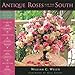 Antique Roses for the South