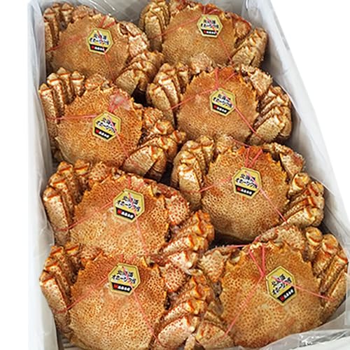 北海道産 毛ガニ 北海道 浜ゆで 毛がに/毛蟹/毛ガニ ボイル 北海道産 毛蟹 8尾入 1ケース 4kg まとめ買い 毛ガニ 魚介類 水産加工品 カニ 毛ガニ タグ付き