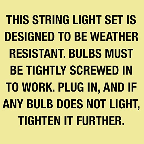 Image of Feit Electric 72041 30 Foot Heavy-Duty Weather Resistant Decorative Indoor and Outdoor 10 Sockets Incandescent String Lights, 30', 11W, Dimmable,Black