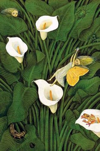 Affiche abstraite Diego Rivera Fée dans le jardin de callis toile 40x60cm art mural sans cadre