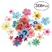 BESTONZON - 360 piezas comestibles de flores para tartas de boda, fiesta...
