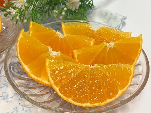 みかん 愛媛 愛果28号 5kg ご家庭用 2L〜4L 大玉 人気 先行予約 柑橘 伊予市 [2025年11月下旬から順次発送予定]|B83