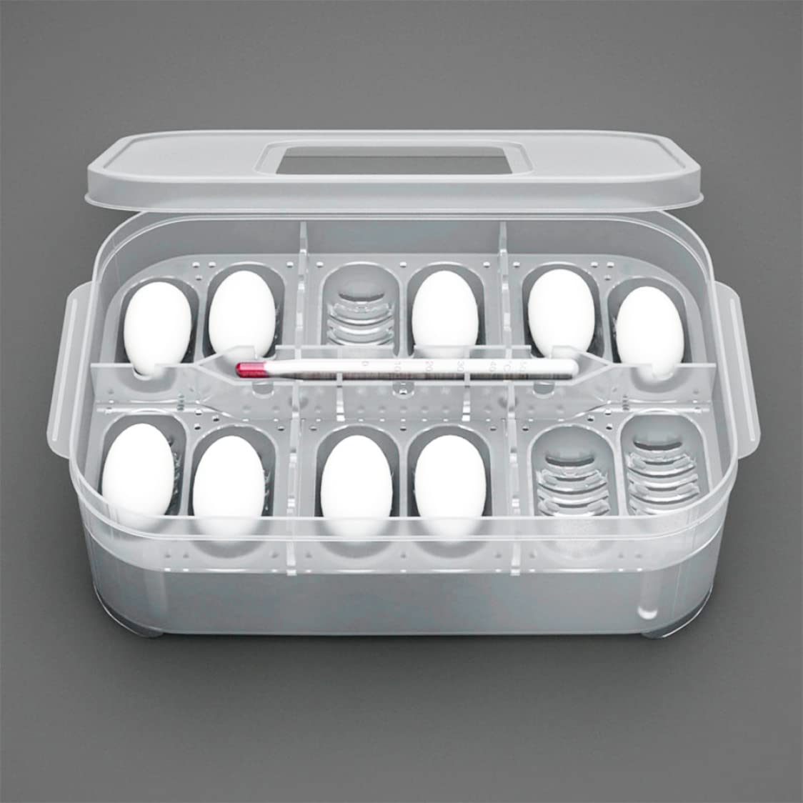 Incubadora de Reptiles, Caja de incubación de Reptiles Reptile Incubator Bandeja de Huevo Bandeja con 12 cuadrículas para Tortuga Gecko Lizards Mane