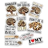 10pcs Ball Python Sticker Sheet, Reptile Vinyl Decals for Ball Python Owners, Herp Enthusiasts, Pet Fans, Waterproof, UV-Resistant, for Laptop, Water Bottle, Terrarium, Journal, Notebook, Phone Case