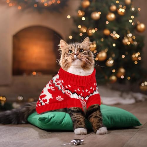 Pull de Noël pour chat et chiot en tricot souple, le cadeau idéal pour vos animaux - 8
