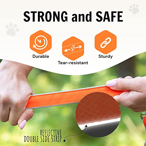 Hundefreund Multifunctional Dog Leash (6 In 1) Adjustable Length 10 Ft Multipurpose For Medium And Large Dogs, Convertible Hands Free, Crossbody, Over Shoulder, Double Dog Leash With Multifunction #TOP5