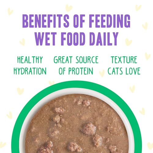 Chicken & Turkey Text Me la solution pour chat difficile qui boude ses croquettes - 14