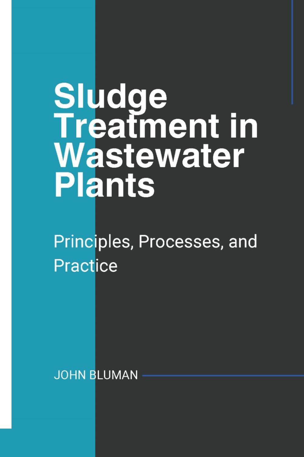 Sludge Treatment in Wastewater Plants: Principles, Processes and Practice