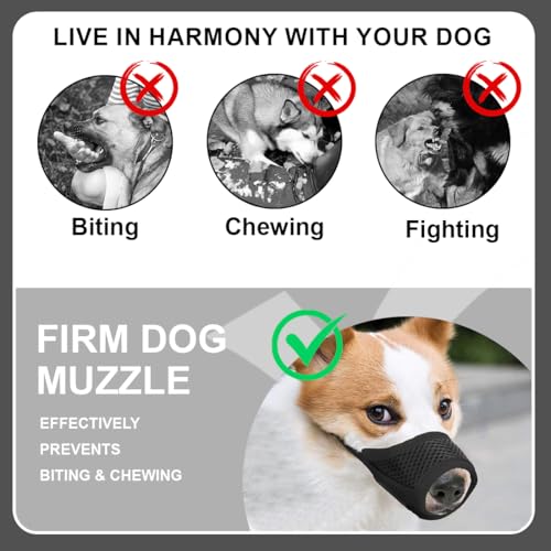 TEOZBLU Maulkorb für Hunde, Verstellbare Schlaufe, Atmungsaktiv, Sicherer, Schneller Sitz Für Kleine,Sicher Atmungsaktives Bellen und Kauen, mit Verstellbarer Schlaufe, Atmungsaktives Mesh-L