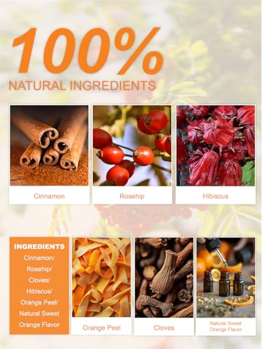 Image of TeeLux Orange Spice Tea, Blended Rosehips with Cinnamon & Hibiscus, Refreshing & Soothing Taste, Caffeine Free, 50 Count