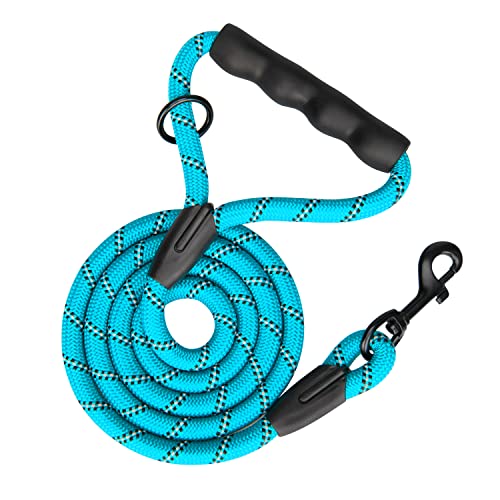 PHOEPET 5 Feet Dog Leash Reflective Heavy Duty Padded Rubber Handle 360° No Tangles for Small Medium and Large Dogs(Blue)