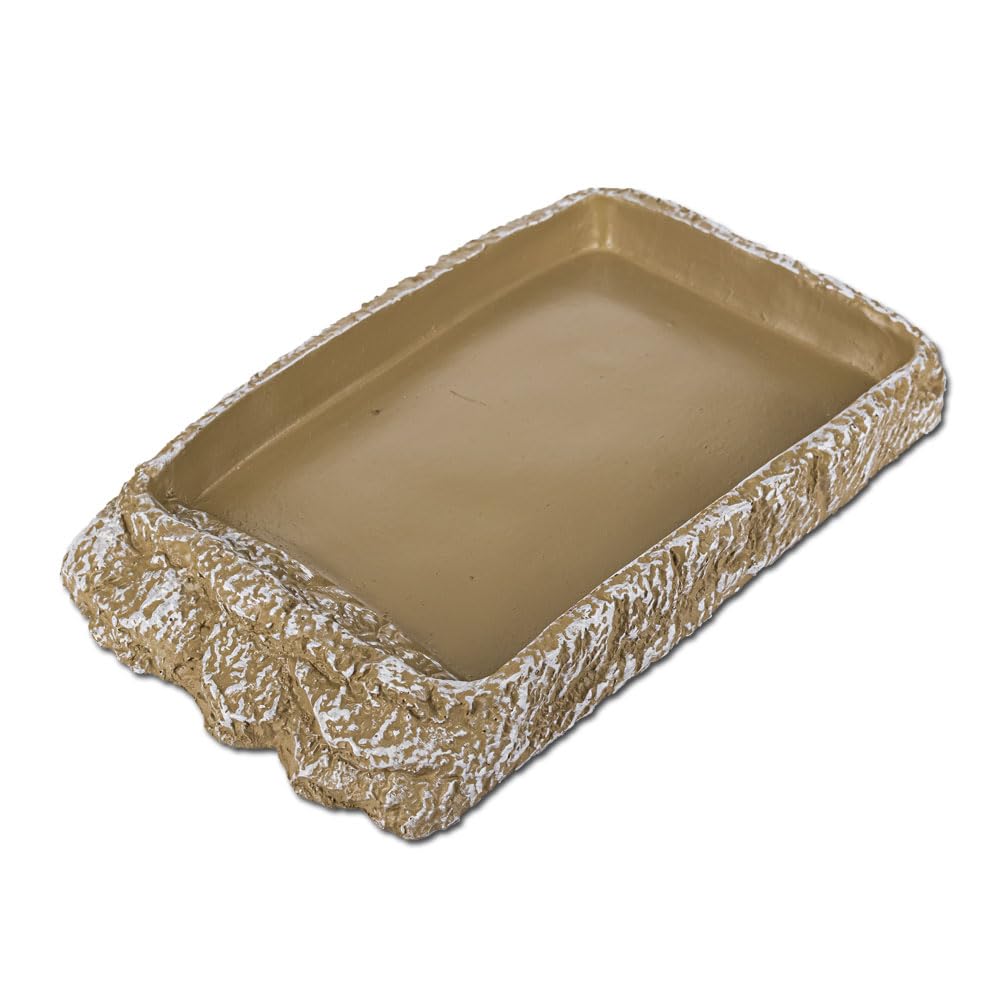 Reptiles-Planet Turtle Dish Medium