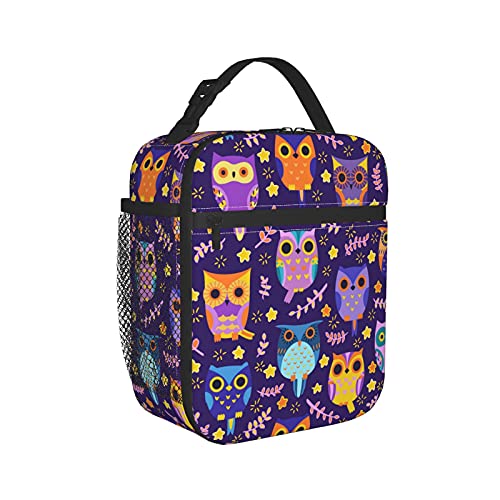 Woaidy Lunch Box Insulated Lunch Bag Tote Cooler Bag For Office Work, Purple Owl Print #TOP1