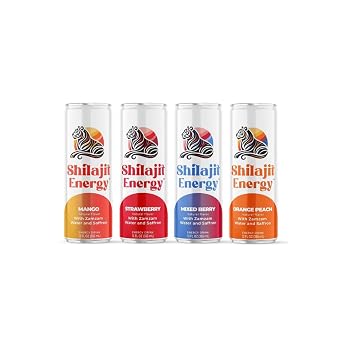 Shilajit Energy Drink Variety Pack Mango, Orange Peach, Strawberry, and Mixed Berry 12-Pack