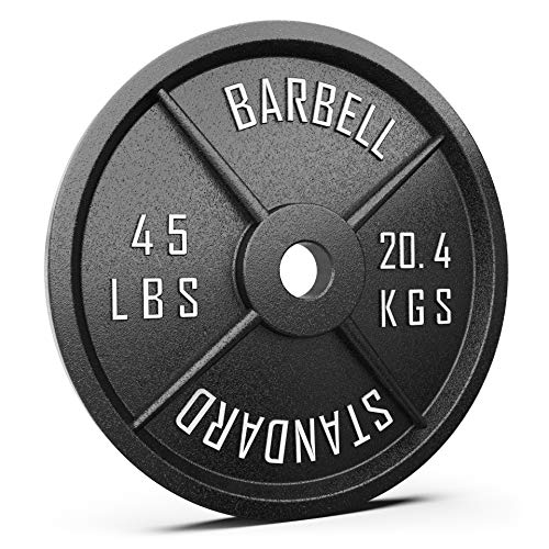 Synergee 45 lb Metal Weight Plates, 2” Opening