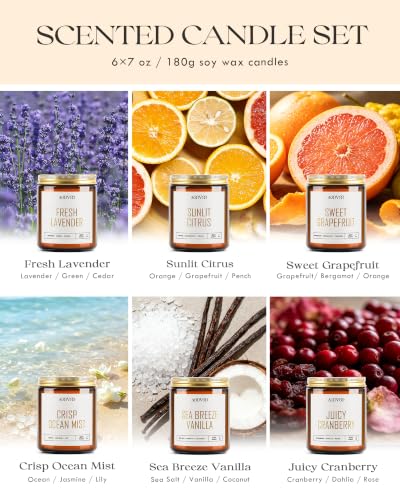 Image of AOOVOO Candles Set - 6PC Scented Candles, Soy Candle, Aromatherapy Candle, Soy Wax Candle, Fresh Lavender /Sunlit Citrus /Sweet Grapefruit /Crisp Ocean Mist /Sea Breeze Vanill /Juicy Cranberry