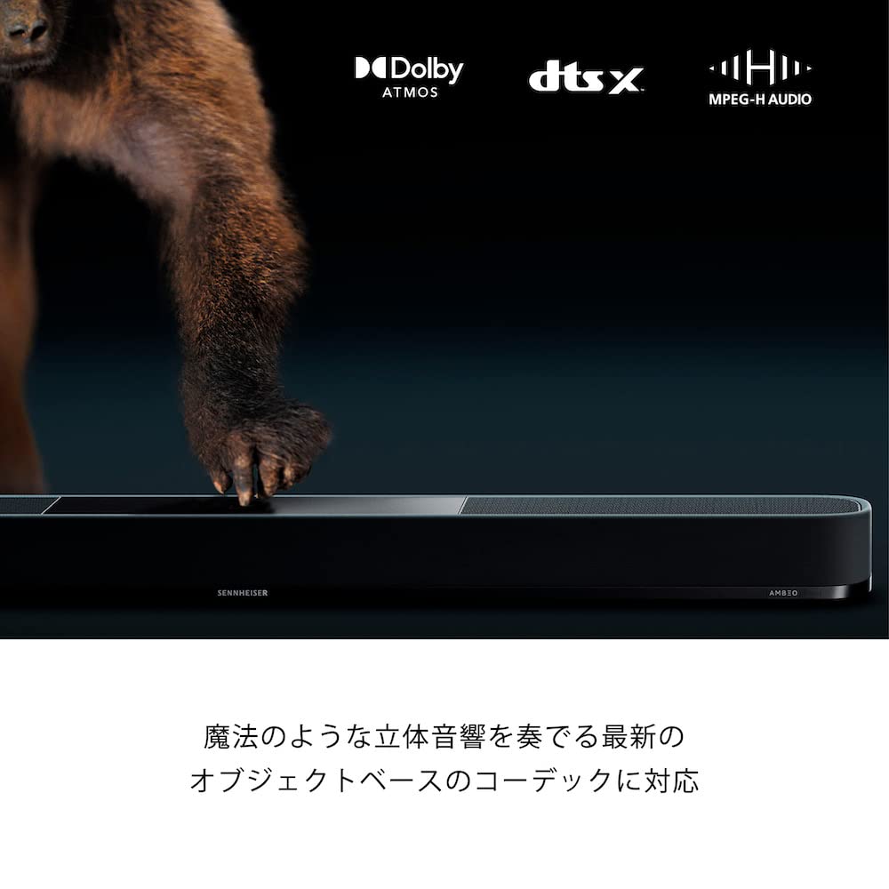 Amazon.co.jp: ゼンハイザー(Sennheiser) AMBEO Soundbar Plus 