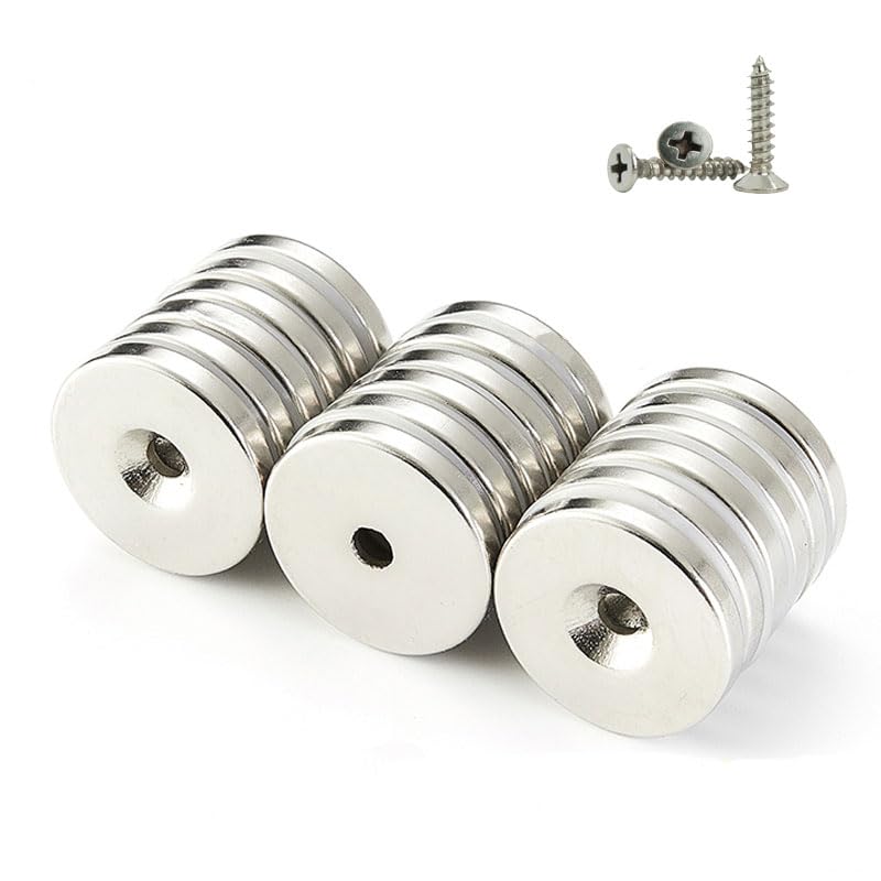 RarEarMag Neodymium Strong Disc 30mm x 5mm Hole: 6mm Rare Earth Magnets 1.14 ''' X 0.19 '' NdFeB for Projects, Industries, Garage Application,Engineering (48pcs 30x5 Hole 6mm with Screws)