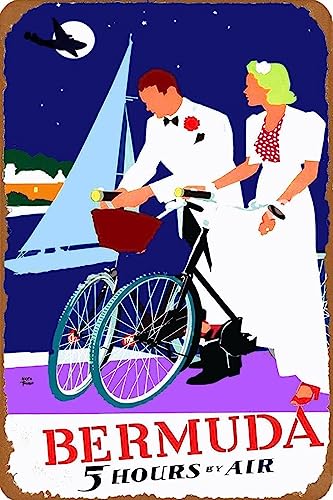 AJ AeB[N Ŕ̃uLŔ 20X30cm o~[_GAJrABe[WsLA[gvg5 B[W uL AJ W 20X30cm