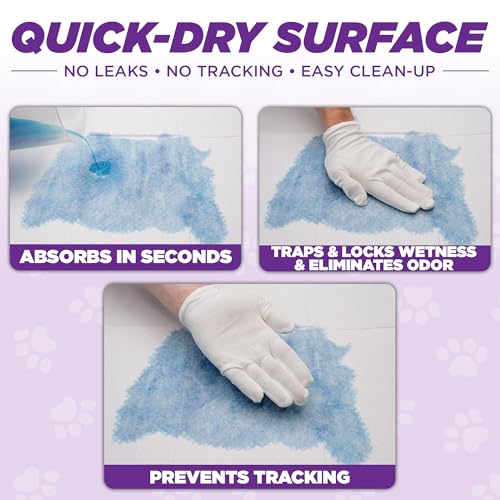 POOPH® Potty Pads™ – 50 Count – Superior Absorbency & Odor Control – Absorbs 59oz, Leak-Proof, Track-Proof, Spill-Proof – Quick-Dry, Disposable, 24x24 Inch – for Puppies, Seniors, Housebound Pets - Thumbnail 5