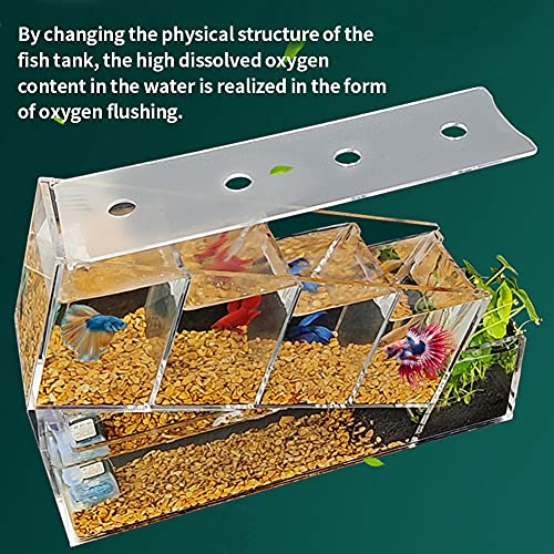 Chestnut-YX ベタフィッシュタンク水族館キット の商品画像 2