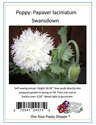 200 Poppy Flower Seeds. Swansdown Poppies. One Stop Poppy Shoppe Brand.