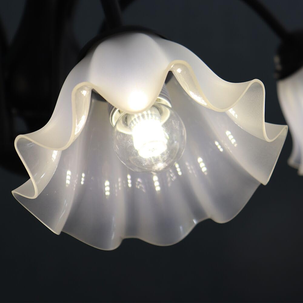 BASQUE Basque Round シャンデリア (2502TL13) BASQUE Basque Round シャンデリア (2502TL13)