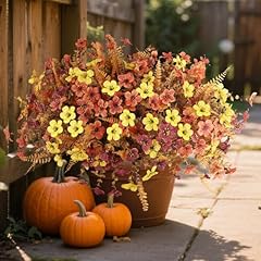 Sunset Red ＆brown＆yellow（with Fall Ferns）