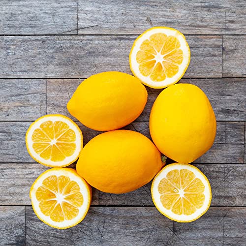 Qauzuy Garden 50 Seeds Dwarf Lemon Tree Seeds For Planting - Organic Meyer Lemon Tree Fruit Seeds For Home Garden Balcony- Easy To Grow #TOP5