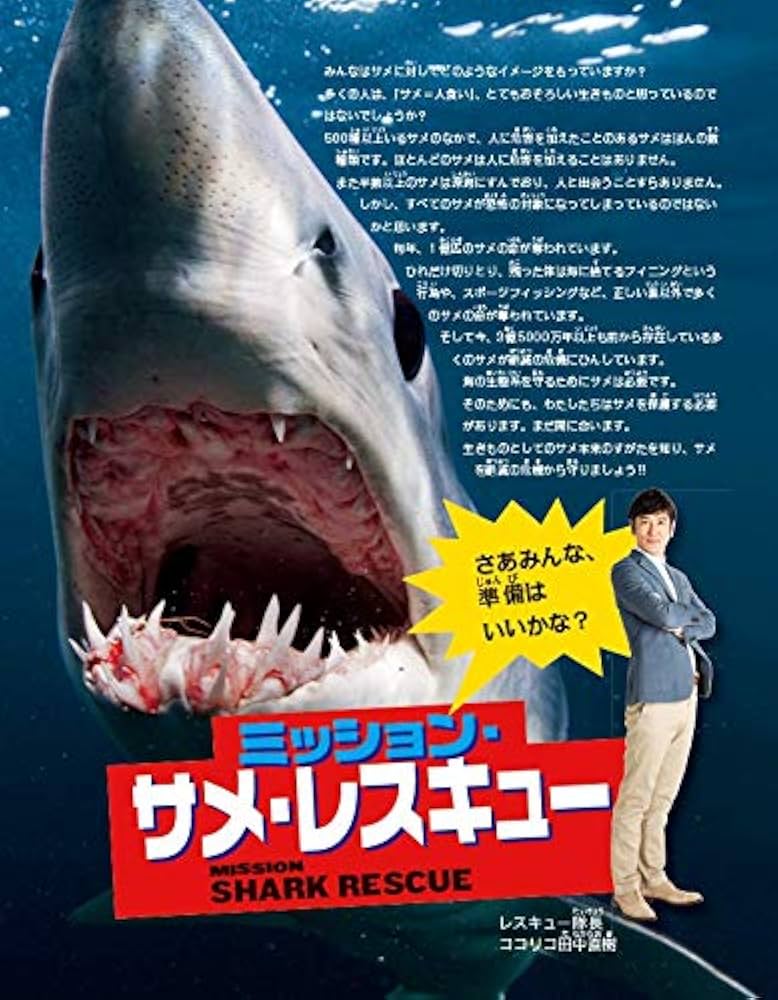 M 宇宙　サメ Amazon.co.jp: スカイネット 立体パズル 4D VISION 動物解剖 No