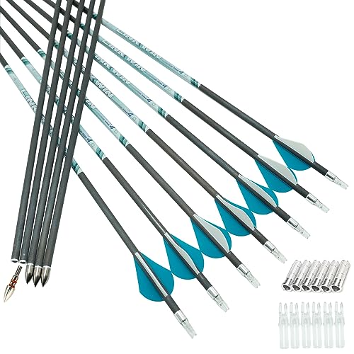 Linkboy Archery 0.001 30inch Carbon Arrows 340 Spine Target Practice Arrows Recurve Compound Hunting Bow Longbow 12pcs