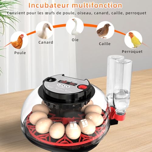Couveuse Oeuf Automatique, Incubateur Automatique 12 Oeufs, avec Système de Retournement Automatique et Contrôle de la Température,Affichage de l'humidité, pour Éclosion d'Œufs de Poule Canard Caille – vue 7