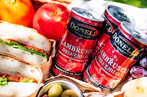 Donelli ランブルスコ・デッレミリア・ロッソ・アマービレ 200ml缶×12本