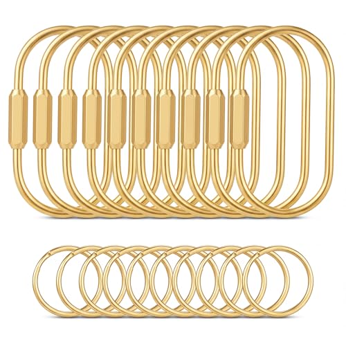 Tiezzi Gold Brass Key Rings 10 Pack Keychain with 10 Flat Rings Carabiner Clip Screw Lock Keys Organizer Purse Bag Accessories Charms Holder for Handbags Doll Car Keys - Medium Size