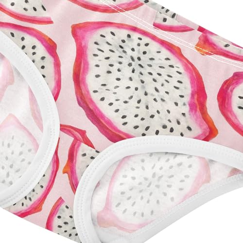Joisal Watercolor Dragon Fruit Slices Pink Girl Panties Cute Toddler Underwear Floral Cotton Bright Kids Briefs Undies 2t4