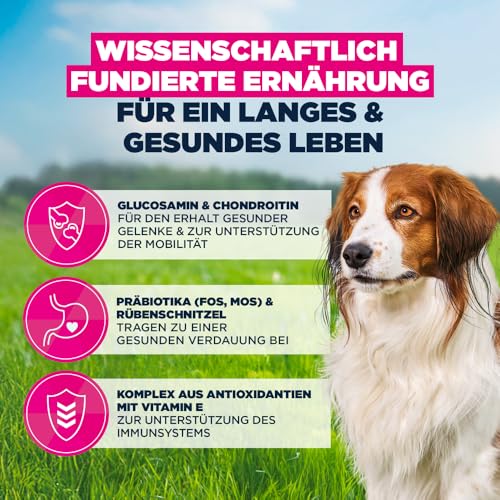 Eukanuba Senior Hundefutter mit Lamm und Reis für kleine und mittelgroße Rassen - Premium Trockenfutter für ältere Hunde, 12 kg