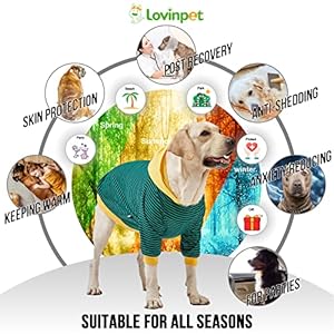 LovinPet Large Dog Onesie Green Stripe Dog Shirt 2 Leg Style Dog Pajamas Large Breed Dog Jammies Pet PJsXL