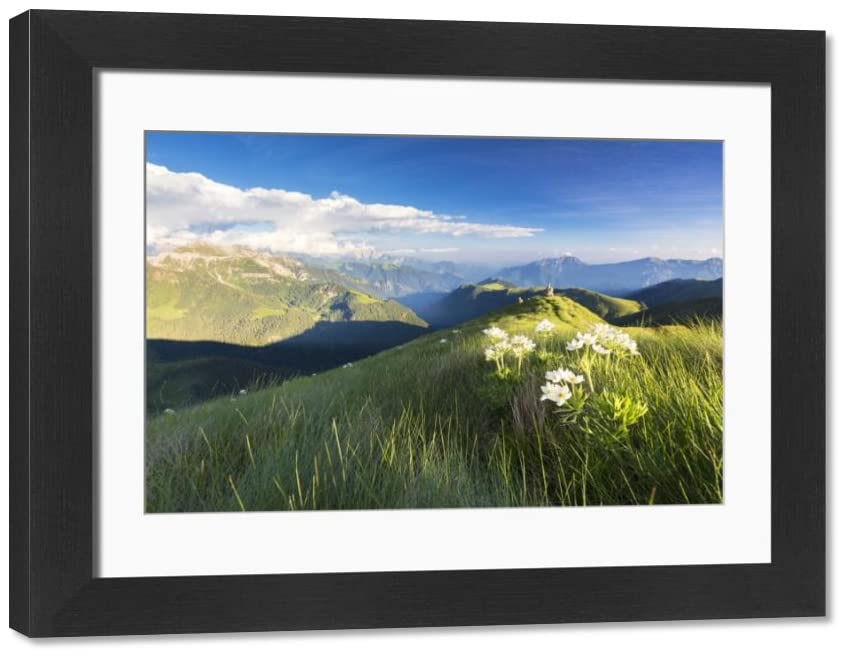 robertharding Framed 16x12 Photo of Wild flowers on crest towards Monte Azzarini with Bergamo Orobie (17827797)