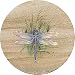 Thirstystone Sandstone Trivet Dragonfly